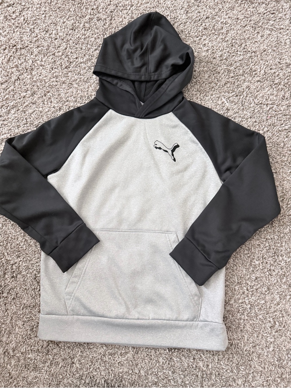 Puma Men's Light Gray & Black Hooded Pullover Sweatshirt
